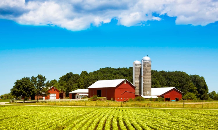 Farm and Agricultural Insurance
